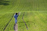 BoWalking