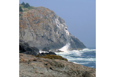 MonheganWhitecap